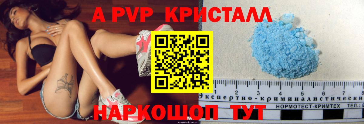 A-PVP СК Архангельск