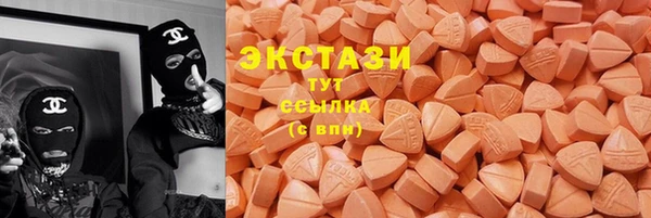 крисы Мегион
