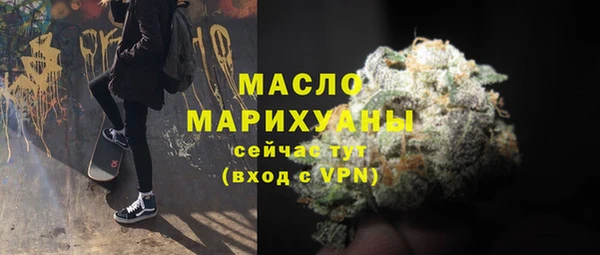 крисы Мегион