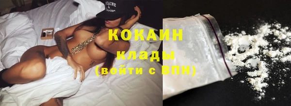 крисы Мегион