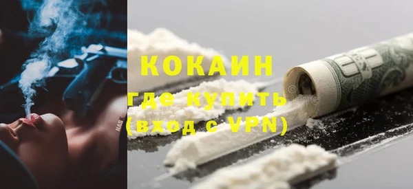 крисы Мегион