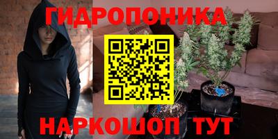 крисы Апшеронск