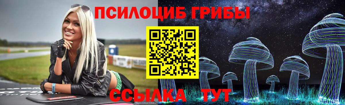 Псилоцибиновые грибы MAGIC MUSHROOMS  Псилоцибиновые грибы мицелий  Вход с VPN  Архангельск 