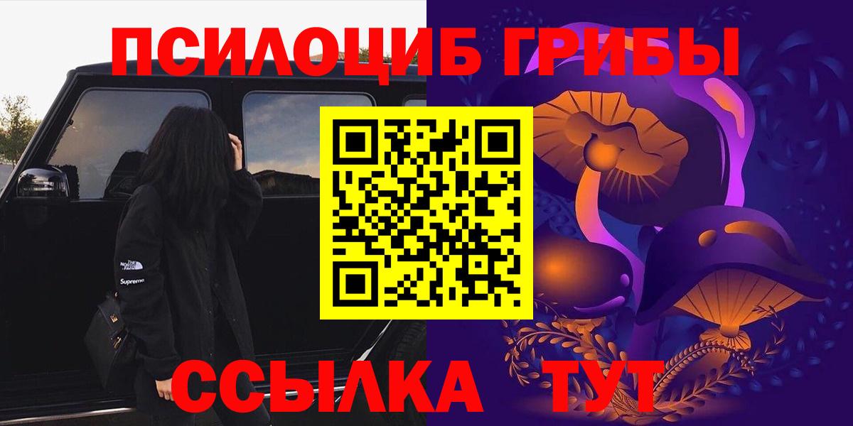 Галлюциногенные грибы прущие грибы Архангельск